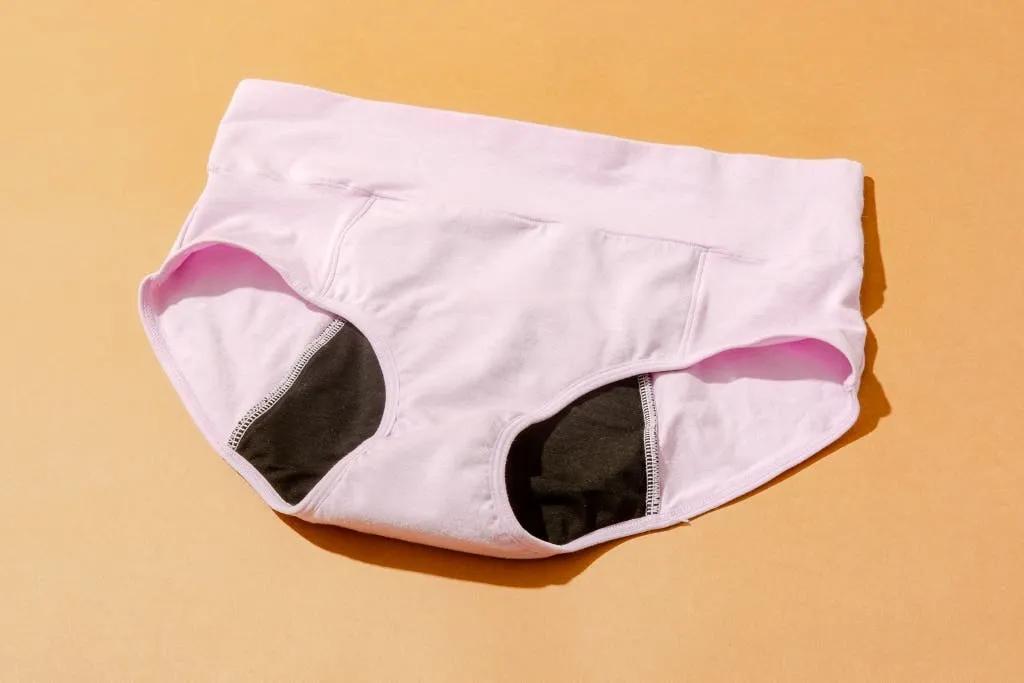 Periods Panties Market Size, Share and Growth Forecast 2025-2033